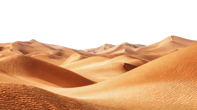 Golden desert sand dunes with detailed wind patterns and dramatic sweeping shapes forming natural layered landscape isolated on white background