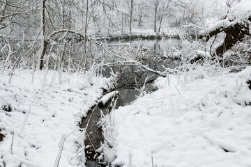 A tranquil winter scene showing a calm river surrounded by snow-covered branches and trees, reflecting the peaceful beauty of a frozen landscape.