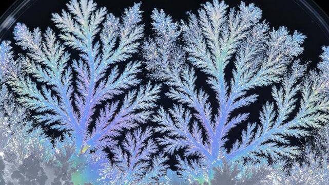 Microscopic pattern showing crystallization process in laboratory experiment. Microscopic pattern displays organic shapes, shimmering colors, and fractal formations under powerful magnification.