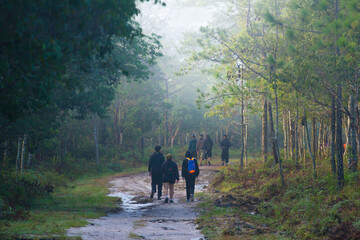 A group of tourists is hiking in the forest