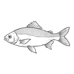 Detailed Fish Vector Design, Printable & Editable Graphic Art
