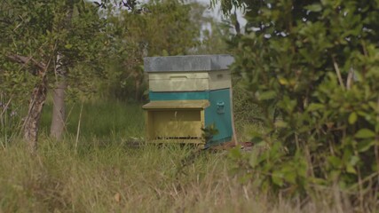 colorful beehive box in natural green landscape with bees in motion around
