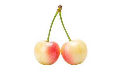 Two Rainier cherries isolated PNG on transparent background, fresh yellow and red fruit with green stems for healthy eating