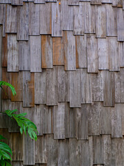 old wooden wall  background with leaf