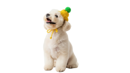 Adorable fluffy puppy with yellow hat and green pompom isolated PNG, cute dog on transparent background for pet-related designs and cheerful projects