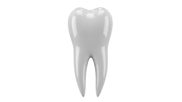 Realistic molar tooth isolated PNG on transparent background, dental care and oral hygiene concept for medical and educational use