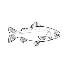 Editable Fish Vector Design
