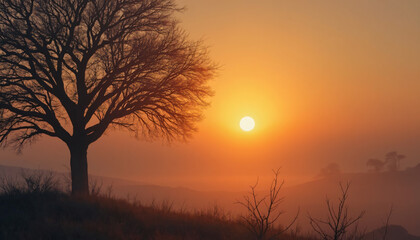 Bare Tree Silhouette at Sunrise
