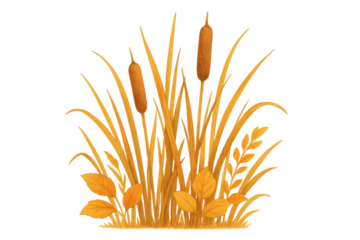 Cattail plants and marsh reeds with autumn leaves, watercolor style illustration, isolated on transparent background