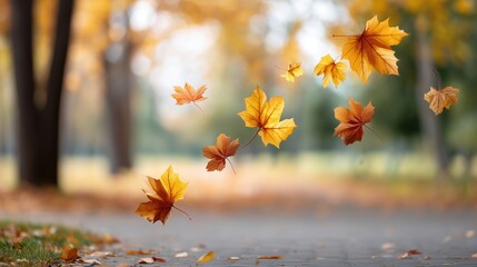 Few yellow leaves are flying in the air. They are scattered on the ground. The leaves are falling from the trees.
