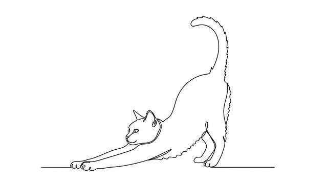 Continuous line drawing of a graceful cat stretching, minimalist pet animal illustration, elegant domestic feline artwork, simple graphic design