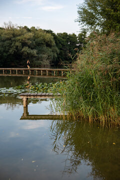 Woman running on wooden pier over calm lake Vestecky rybnik at sunset