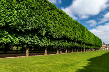 Paris France Luxembourg Palace Gardens and public park