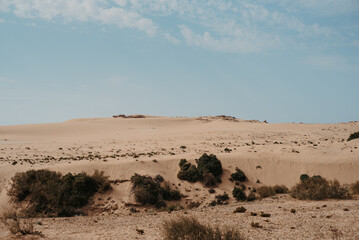 Desert Landscape with Sand Dunes in Timlaline Desert, Morocco