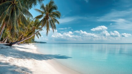 A beautiful beach with palm trees and a clear blue ocean. The sky is mostly clear with a few clouds scattered around. The scene is peaceful and relaxing, perfect for a day at the beach