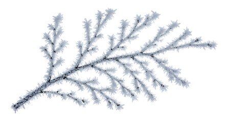 A single frosty evergreen branch covered in ice crystals.