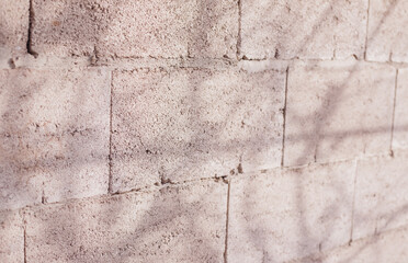 Abstract silhouette of the shadow of natural leaves of a tree branch on a gray concrete wall.