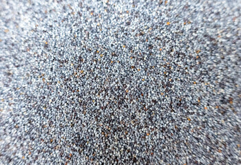 A macro view of blue-gray poppy seeds forming a dense textured surface, suitable for culinary, baking, nutrition, cosmetics, and natural product concepts.