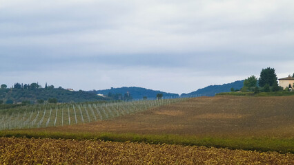 Autumn season. October in Tuscany.