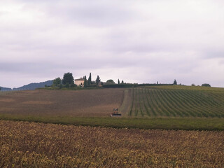 Autumn season. October in Tuscany.