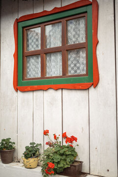 window with flowers