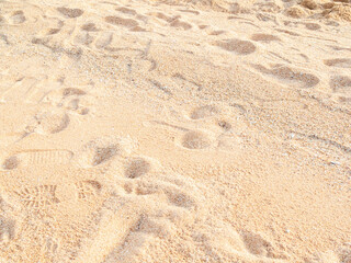Nature travel background, sand beach close up texture summer desert zen garden coast ocean for vacation, hot tropical scene nature, holiday dune pile dry brown heap