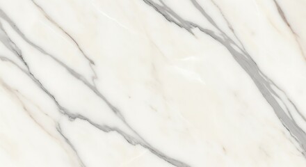 Elegant white marble surface with striking grey veining perfect for modern interiors