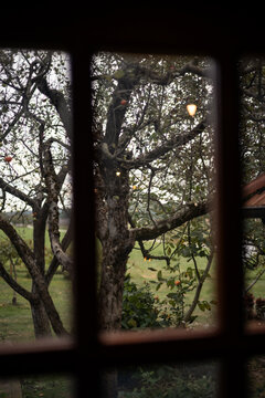 window in cold weather 