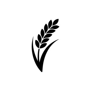 A single black ear of wheat icon, a simple vector silhouette for agriculture and farming concepts. This grain symbol is perfect for bakery, food, and organic product logos