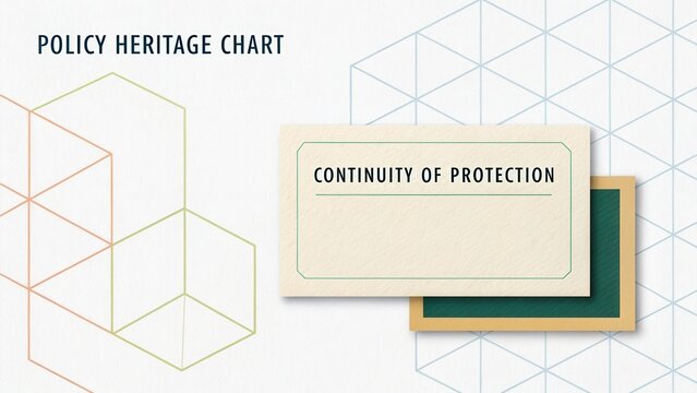 Policy Heritage Chart Displaying Continuity of Protection Concept with Geometric Patterns and Colorful Elements for Visual Communication