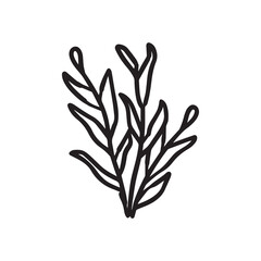 Fototapeta premium Coral wavy branches Black outline illustration resemble marine vegetation white background.
