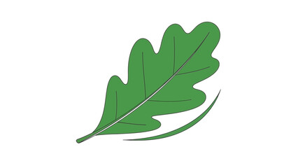 A single green oak leaf illustration with a curved line beneath, isolated on a white background.