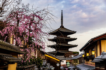 Obraz premium Kyoto: Five-story pagoda and cherry blossoms