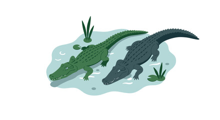 Isometric alligators in swamp with lilies and reeds on white background