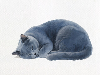 Tranquil Slumber: A serene, gray domestic cat, deeply asleep, curled up in a peaceful pose, epitomizes the tranquility and comfort of rest.