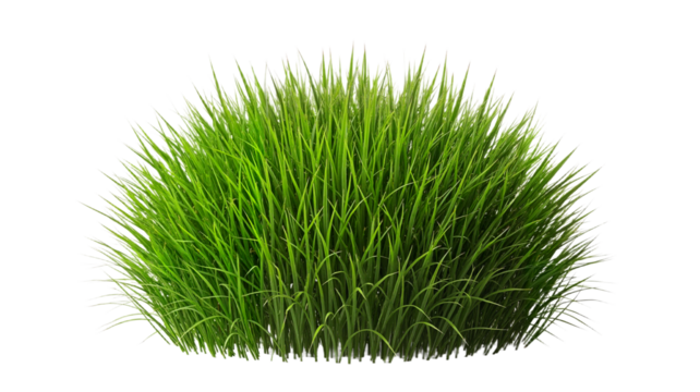 Lush green grass in a natural clump on transparent background - Powered by Adobe