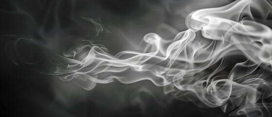 Obraz premium Thin transparent white smoke on dark background overlay wallpaper.
