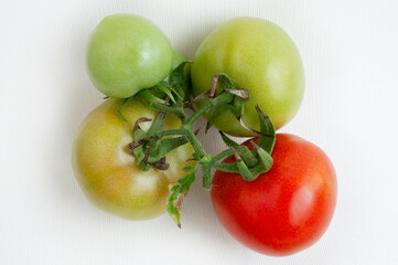 Delicious red tomatoes, isolated on white background
