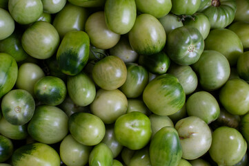 Freshly picked green tomatoes scattered in an even row