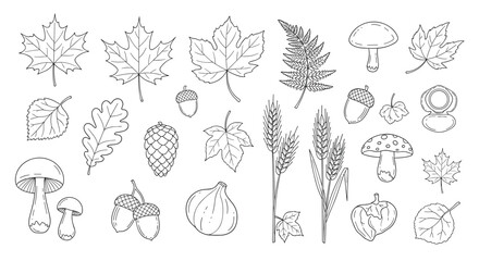 A large and diverse collection of various autumn elements in a charming hand-drawn sketch style for seasonal projects.