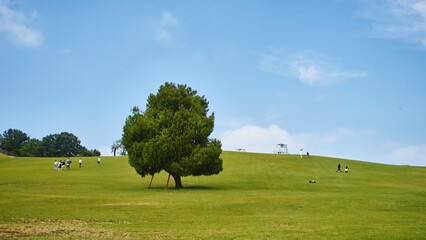 Fototapeta premium Young People Enjoying Leisure and Walking on a Green Hill in an Urban Park