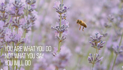You are what you do, not what you say you will do - motivational phrase is shown using the text
