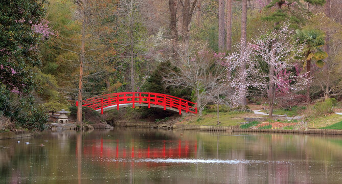 Spring landscape with a red bridge in Sarah P. Duke Gardens in Durham, North Carolina
