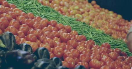 Displaying ripe red tomatoes on slanted produce trays, showing string beans, eggplants, pale sleeve
