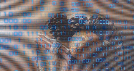 Fototapeta premium Perching pair of parrots showing warm brown plumage on wooden slatted wall, binary overlay