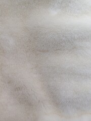 White Fur Fabric Background Photo