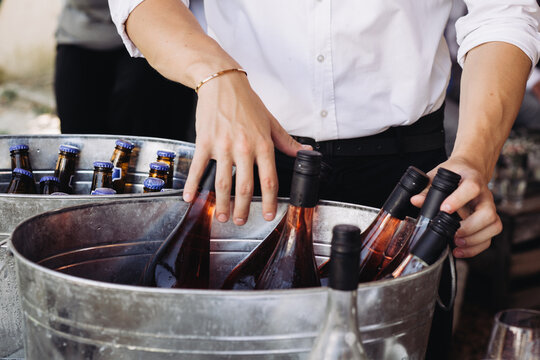 Waiter arranging chilled rosé wine bottles in ice bucket