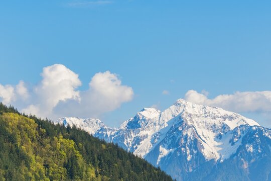 Snow capped mountains towering above lush green forest