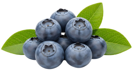 Pile of blueberries with leaves isolated on transparent background