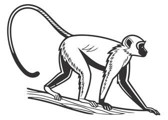 Stylized illustration of a monkey on a branch with a long tail